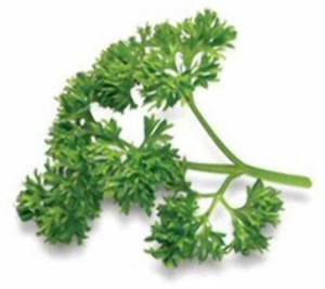 parsley-leaves